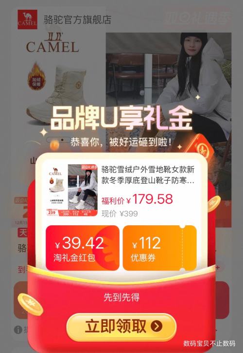 88VIP��CAMEL ���� ѩ�� ����ѩ��ѥ�Ż�֤��