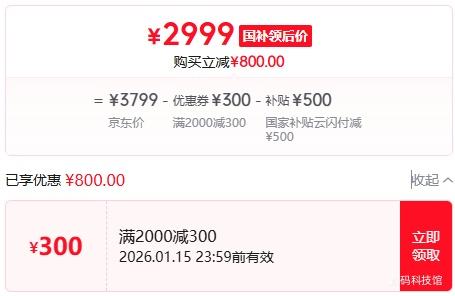 iQOO 13  12+256G�Ż�֤��