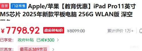 ƻ�� iPad Pro 2025 11Ӣ�� M5оƬ ��պ�ɫ 256G WLAN���Ż�֤��