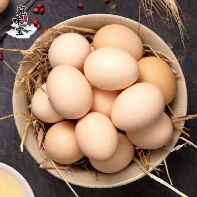 ԥũʹＦ ũɢ  50öװ 2000g16.9Ԫ