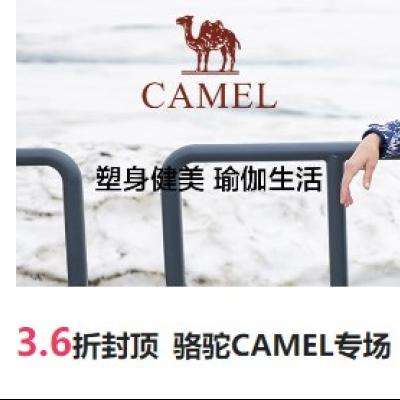 ΨƷ CAMELר3.6۷ⶥϽ