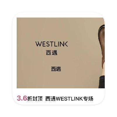 ΨƷ WESTLINKЬѥר ֱ3.6۷ⶥƷ