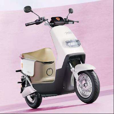 PLUSyadea ŵ 綯Ħг 60V20Ah 2629.05Ԫ