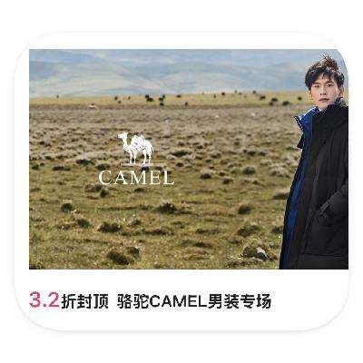 ΨƷ CAMELװ 2.2۷ⶥ2.2۷ⶥ