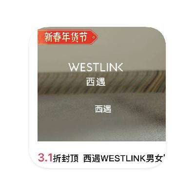 ΨƷ WESTLINK 3.1۷ⶥ3.1۷ⶥ