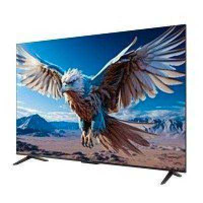 PLUSԱFFALCON  6ϵ 75S376C-JN Һ 75Ӣ 4K2572.64Ԫ