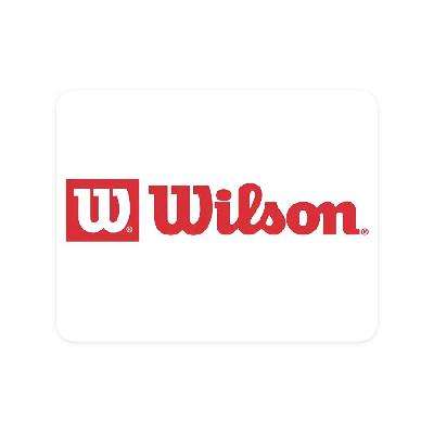 ΨƷ Wilson˶ 4.2ֱ    4.2ֱ