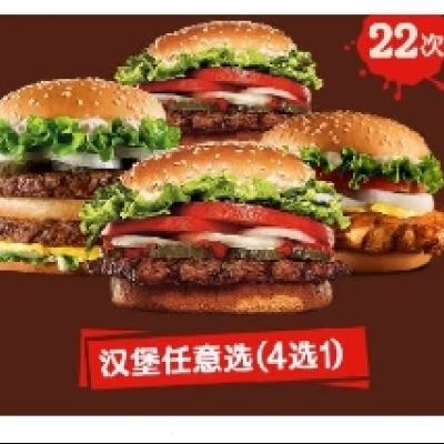 BURGER KING  22ݻʱϵѡ εӶһȯ263Ԫ+2800Խ