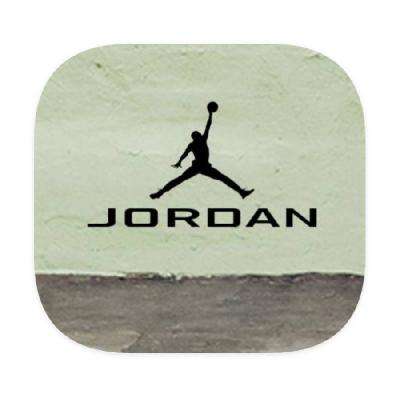 ΨƷ ͿJORDAN˶ 2.9    2.9