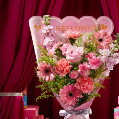 Reflower ʱ  214˽õ廨  ֮ ɫƻ 213-14  ջ 39.9Ԫȯ