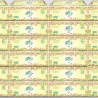 ڲֽ3ͽֽʵװ 20 s19.9Ԫ