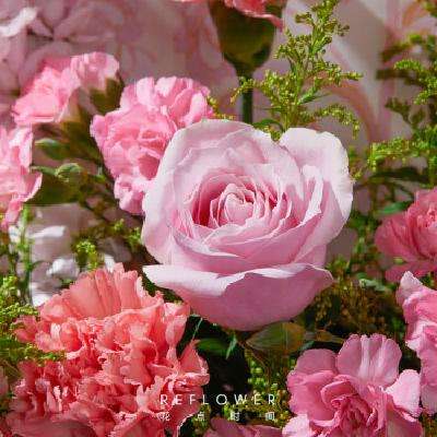 Reflower ʱ 214˽õ廨ʻ ֮ ɫƻ 213-14գջ39.9Ԫʣȯ