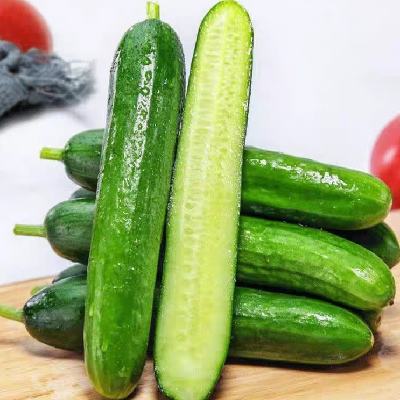 PLUSԱãϲӪ ϲ ˮƹ 12.99Ԫ
