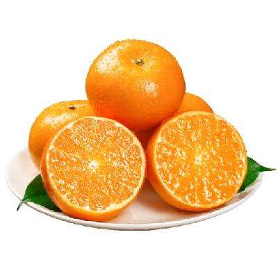 ٽۣ ϸɽָ 8װ 100g+16.21Ԫʣȯ