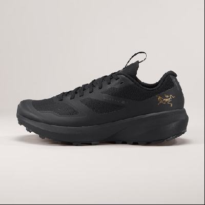 ԤۣARC'TERYX ʼ NORVAN LD3 GTX GORE-TEX ˮ  ԽҰЬ2400Ԫ踶100