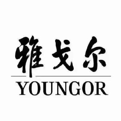 20㿪ʼ YOUNGOR Ÿ 38ڴżȫλ36+ÿ200-30Ԫ+999-150Ԫȯ