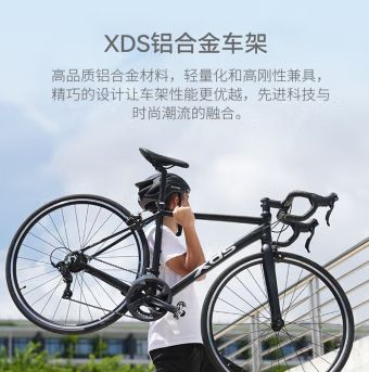 ϲʢ RC200· ɫ 510mm 175-1851379Ԫȯ