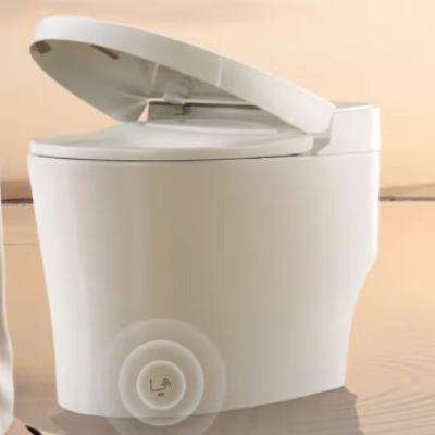 PLUSԱARROW  0ѹŴǷȦĭܳ AES1188-PM2227.99Ԫȯ