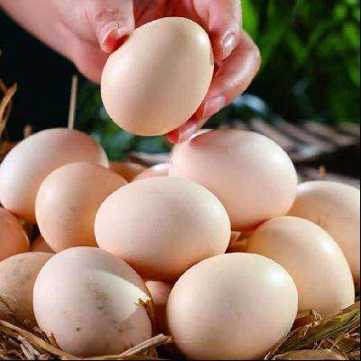 ٽۣʼ 15ö4ԪʡǮ2Ԫ