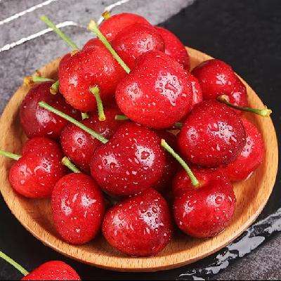 Ʈ¶ӣҹиˮʱ 4()  56-8g48.8Ԫ