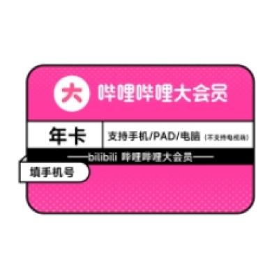 哔哩哔哩 bilibili 12个月+赠1个月 大会员直充