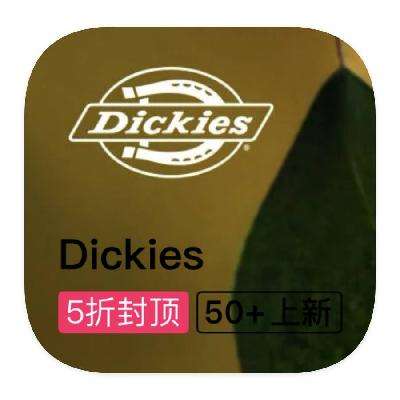 ΨƷ Dickiesۿ ػݶػ
