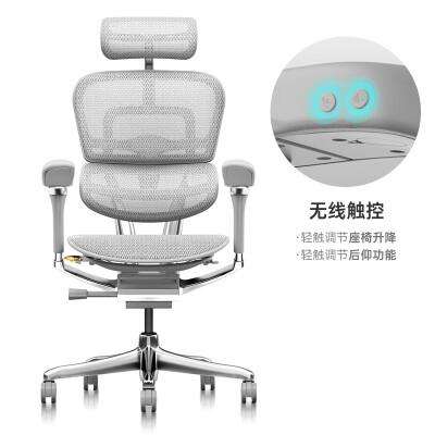 ErgonorذƷѽL2羺幤ѧξԼð칫ϰ  η ͻ2956.38Ԫ