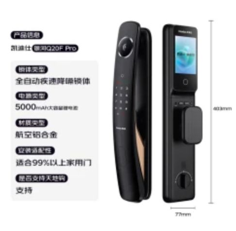  ʶèָƵС Q20F Pro1512.15Ԫȯ