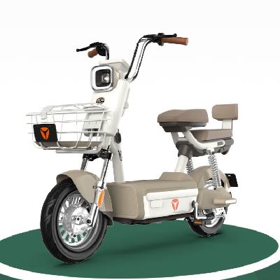ڲPLUSԱŵ C20 ¹綯 48V24Ah﮵ ůط2544.05Ԫ µ20Ԫ