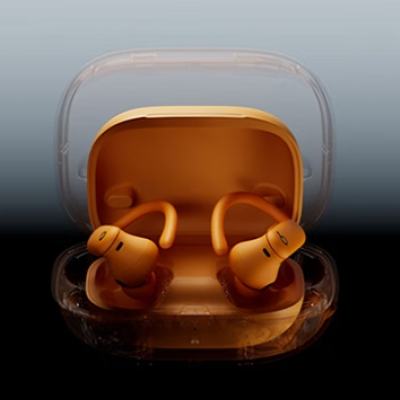 PLUS会员：Beats Powerbeats Pro 2 入耳式真无线主动降噪蓝牙耳机 极速黑