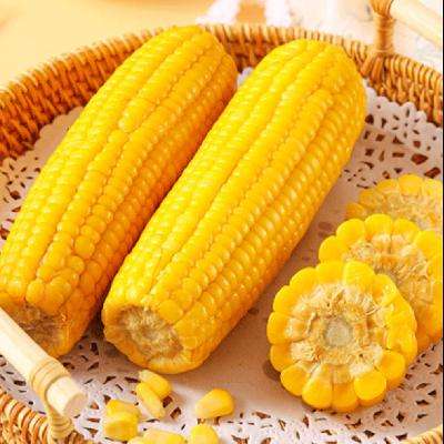 黄糯玉米 140g-180g *2件