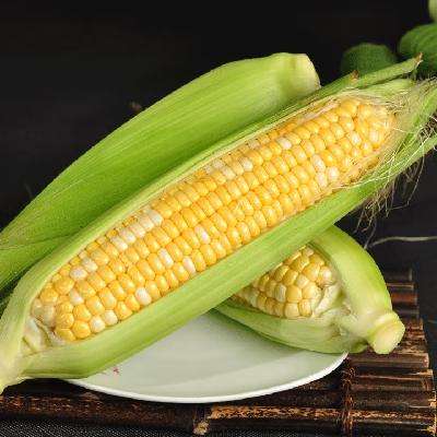 ٽۣˮ 3 400g+ *28.9Ԫ4.45Ԫ/һһ