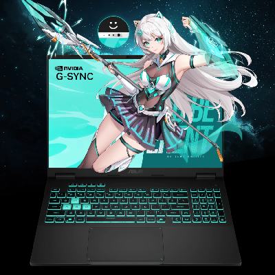 ٽۡ88VIP˶ѡ6 Pro  i7-13650HX RTX5060 16G 1T ħ 16Ӣ羺Ϸ  5787.2Ԫɹ500Ԫè