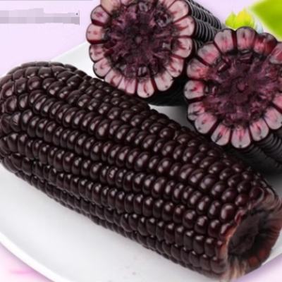ZHENGUYOUHUO ջ Ŵ Ŵ10֧ 1.8kg*115.99Ԫ