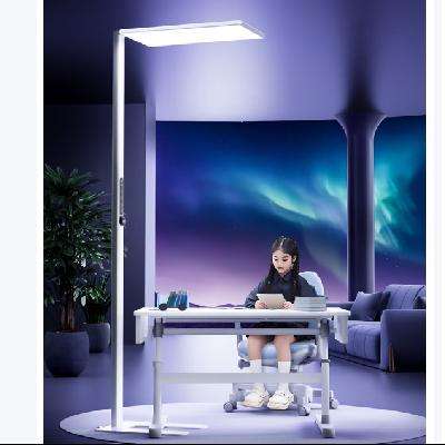 20㡢plusԱ Panasonic ȫ׻ ״Ӧܴ· 30002522.04Ԫ
