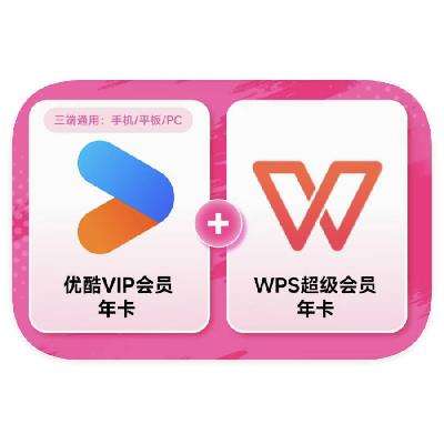 ſVIPԱ꿨 + WPSԱ꿨148Ԫ