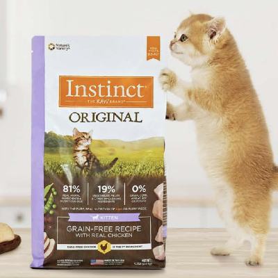 INSTINCTȻè޹ȼʷ 4.5/2kg Ч25987.51Ԫ