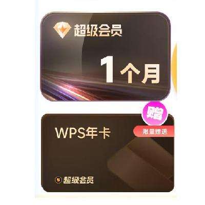 ѸSVIP¿ WPS꿨 ֱֻ89.0Ԫ89Ԫ/