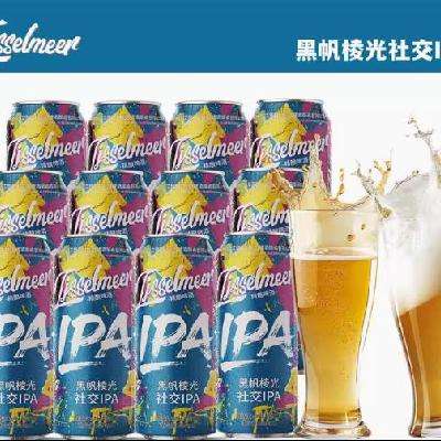׹ɪIPA ơ ѿ13.8P500ml*12ƿװ53.41Ԫȯ