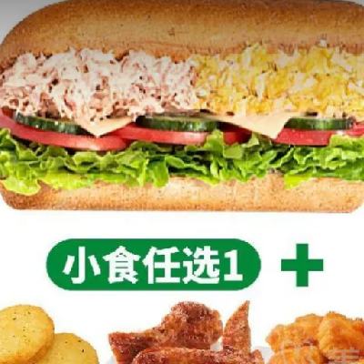  SUBWAYζ ǹ˫ƴСʳ(ȯһȯ1ԭ46Ԫּ22.4Ԫ