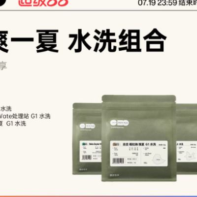 Ҷ+sayisa+ɹֳ忧ȶ100g*382Ԫ