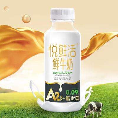 ʻ ţ A2-ҵ 450ml*6ƿ24.9Ԫ