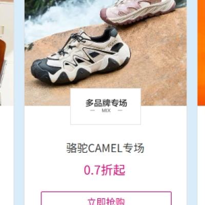 Ь0.7ۣ ΨƷ  CAMELר 0.70.7𣡣