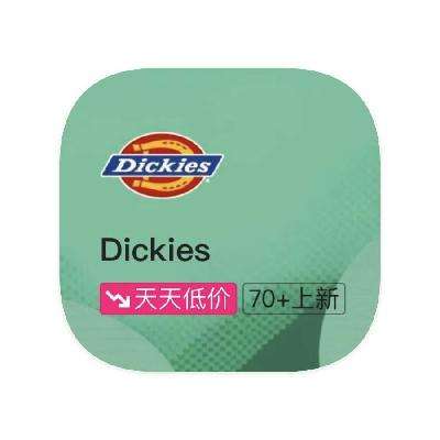 ΨƷ ۿDickies 11