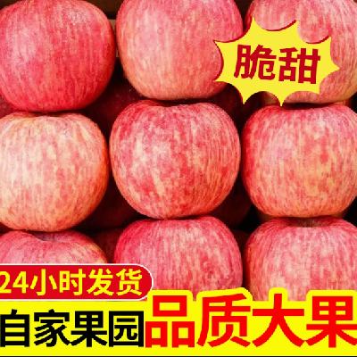 ڹ԰  ɽ̨ ˮ ϼ츻ʿƻ 75mm-80mm 3*113.43Ԫ