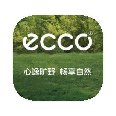 ΨƷ ECCO 1    1