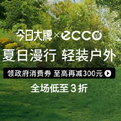 ΨƷ ȯECCO mini    ȫ3