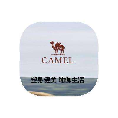 ΨƷ Camel 0.50.5