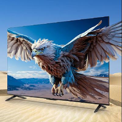  6 24 һЧ ӻ55Ӣ 55S375C-JN1279.2Ԫ