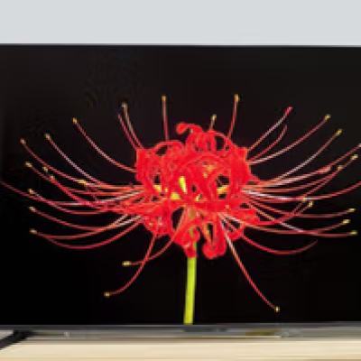   85Ӣ Vidda X 85VX5Q4719.2Ԫ